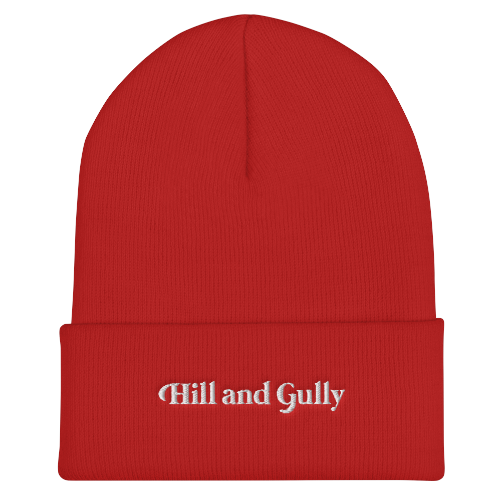 Cuffed Beanie